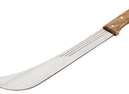 Home Home